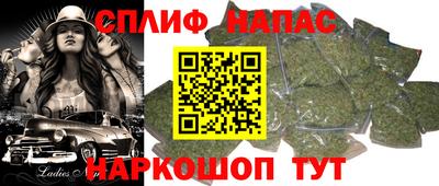 сатива Славгород