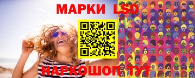 прущие грибы Сланцы