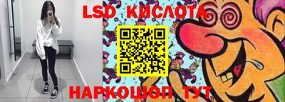 прущие грибы Сланцы