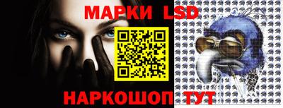 прущие грибы Сланцы
