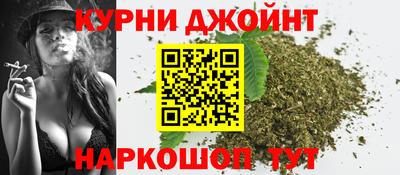 сатива Славгород