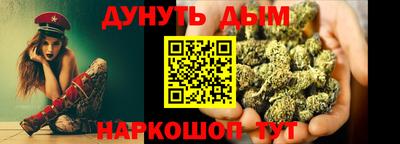 сатива Славгород