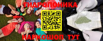прущие грибы Сланцы