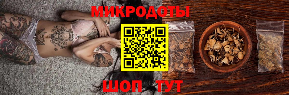 Псилоцибиновые грибы Psilocybine cubensis  Вход с VPN  Новочебоксарск 